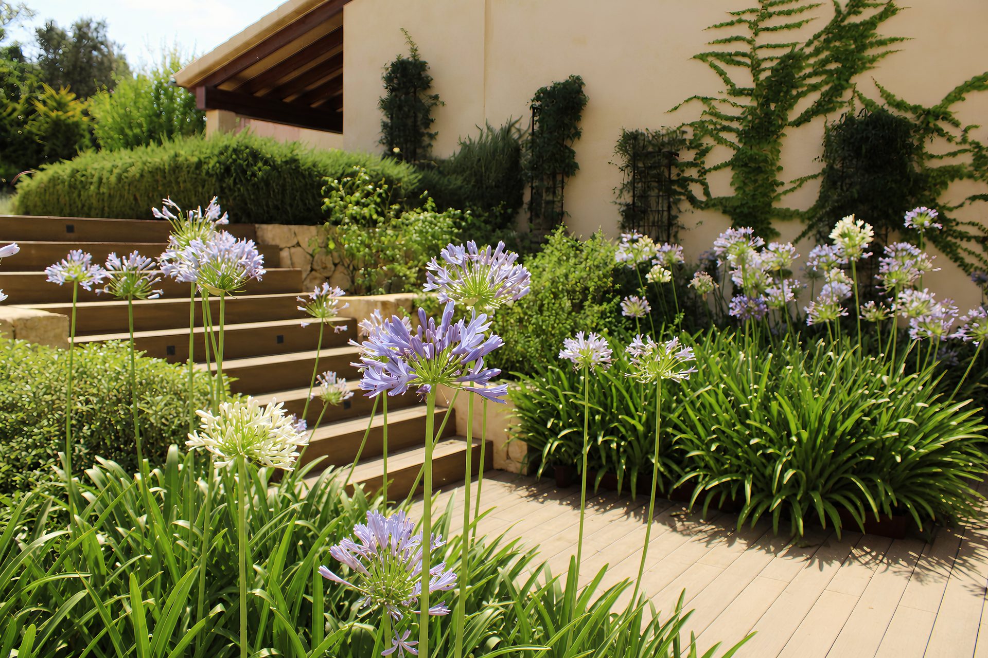 Santa Eugènia — Garden Design Santa Eugènia, Mallorca, Image 5